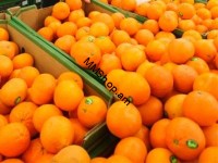 Նարինջ կգ