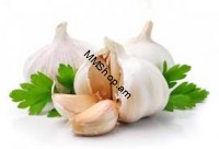 Սխտոր կգ-ով
