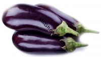 Սմբուկ կգ